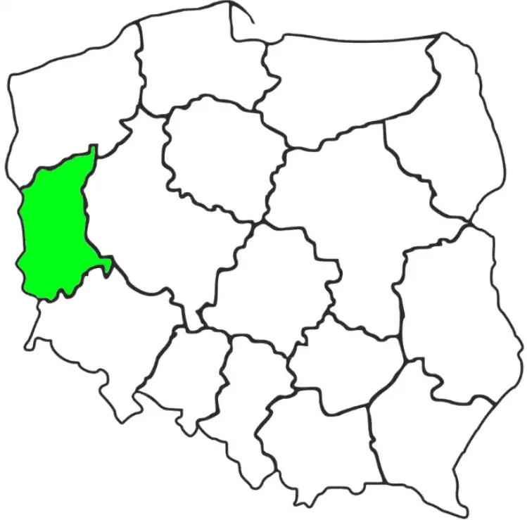 Mapa Polski z zaznaczonym na zielono województwem lubuskim